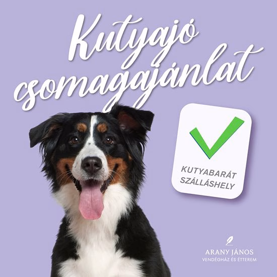 Kutyajó csomagajánlat